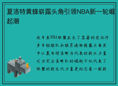 夏洛特黄蜂崭露头角引领NBA新一轮崛起潮