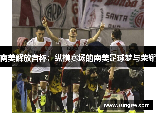 南美解放者杯：纵横赛场的南美足球梦与荣耀