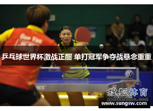 乒乓球世界杯激战正酣 单打冠军争夺战悬念重重