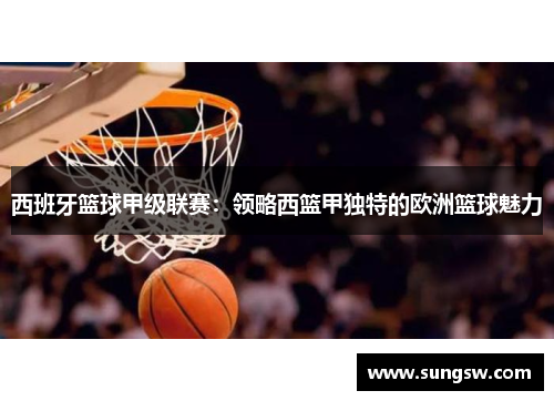 西班牙篮球甲级联赛：领略西篮甲独特的欧洲篮球魅力